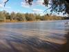  paroo river in currawinya np