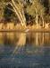  pelican at lake houdraman