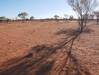  camping at the zircon fossicking field