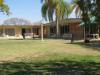  roos in longreach like motel lawns