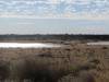  waterholes and flats outside bedourie