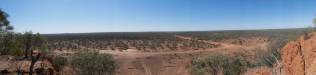  bald knob lookout