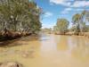  a windy, remote, beautiful camp on the mayne river