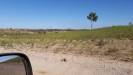  east pilbara towards marble bar