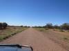  lots of flowers along the road, near blackall