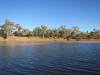  barcoo river in welford nat park