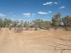  a windy, remote, beautiful camp on the mayne river