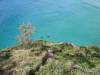  manta rays stradbroke