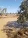  a windy, remote, beautiful camp on the mayne river