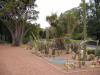  adl-botanic-gardens-palm-and-cactus-house