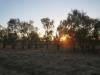  sunset at the barcoo river