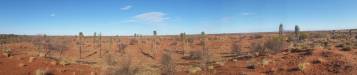  camping near curtin springs